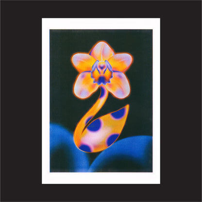 Risograph Print: Ethereal (2nd Edition)